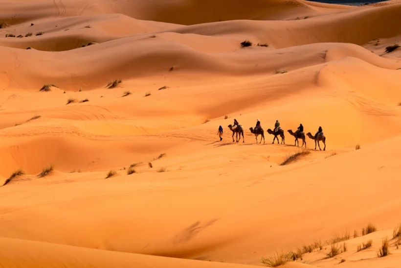 2 Nights Merzouga Desert Camel Trek