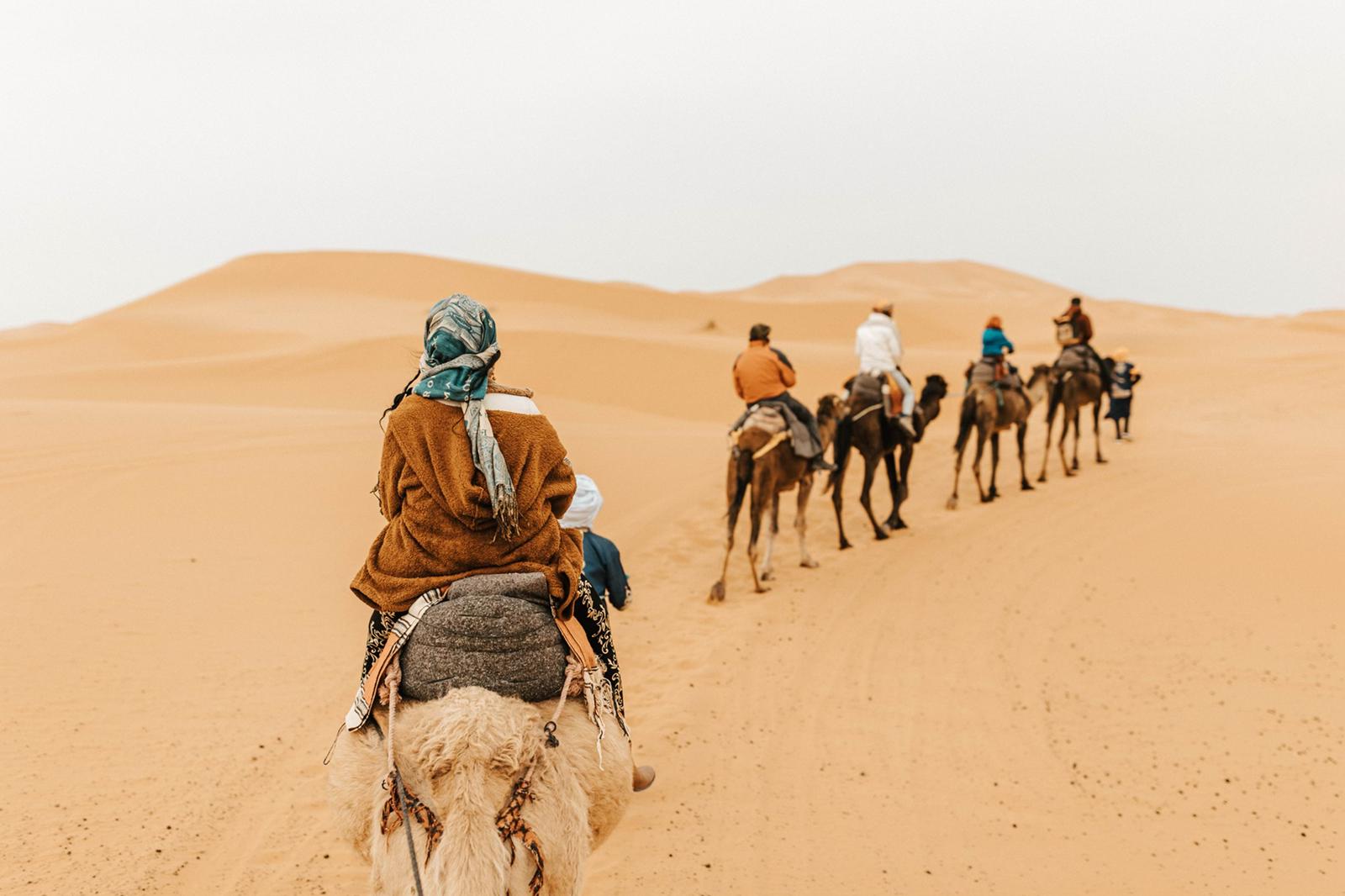 Desert Activities