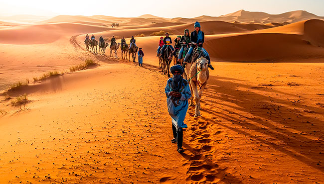 Marrakech Experiences for First-Time Visitors